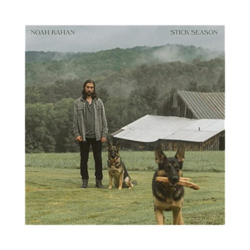 Stick Season[2 LP] Explicit Lyrics