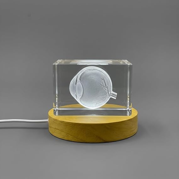 Eye Art For An Ophthalmologists | 3D Engraved Crystal Keepsake | Gift For Doctor| Collectible | Souvenir | personalized 3D crystal photo gift |Customized 3d photo Engraved Crystal | Home decor (Large)