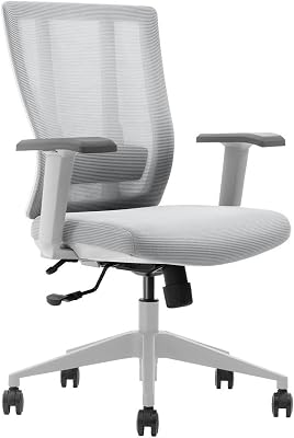 Bitchair Ergonomic Mesh Conference Room Chair - Adjustable Lumbar Support Computer Desk Chair with Height Adjustable Arms - Seat Depth Adjustable Executive Home Office Chair - Gray Pack of 1