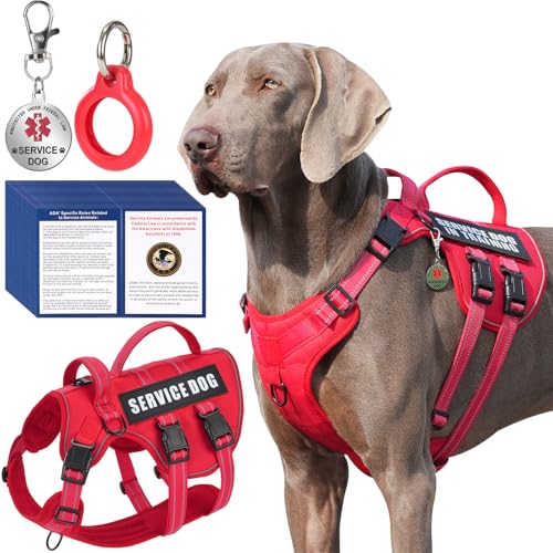 Service Dog Harness  ID Tag 50 ADA Information Cards - No Pull Dog Vest 10 PCS Removable Patches - Reflective Emotional Support Animal Vest for Large Dogs - Adjustable Breathable ESA Training Vest