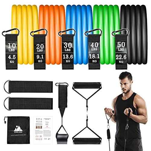Resistance Bands Set 12pcs, Workout Bands with Handles, Door Anchor, Ankle Straps and Carry Bag, Exercise Bands for Shape Body and Home Workouts