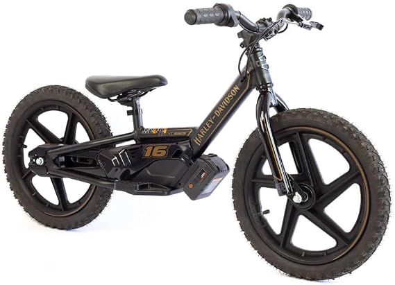 STACYC H-D 16eDRIVE Brushless