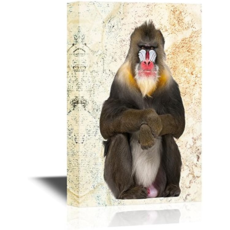 wall26 - Wild Animal Canvas Wall Art - A Sitting Mandrill - Gallery Wrap Modern Home Art | Ready to Hang - 12x18 inches