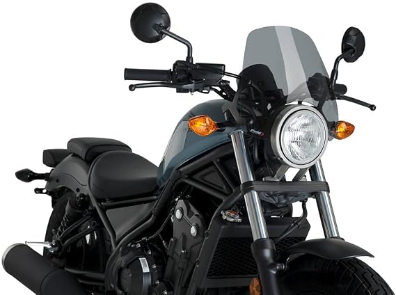 Puig 3829H Windshield Naked New Generation Sport Smoke