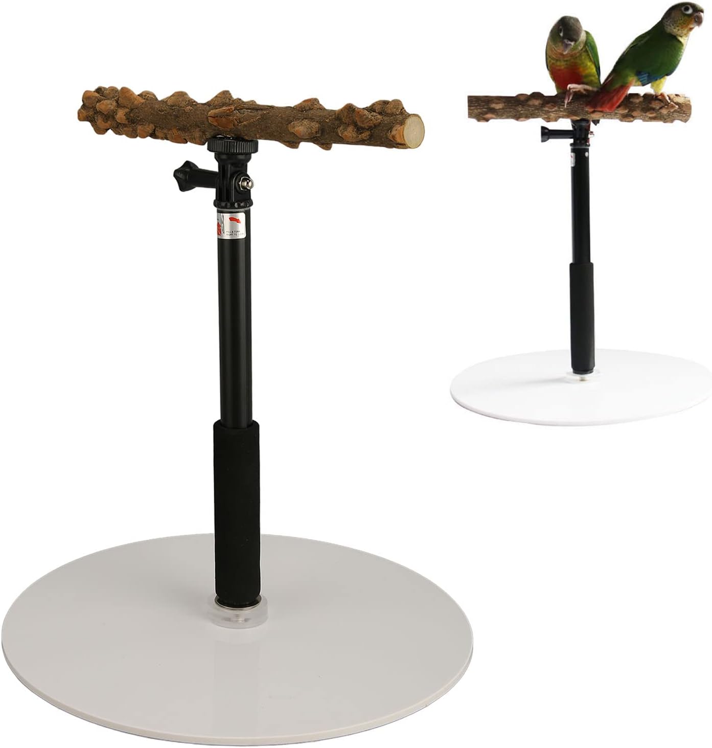 Training Perch Stand, Outdoor Detachable Bird Standing Perch with 37inch Height, Base, Bird Play Travelling Stand for Conure Conures Love Bird