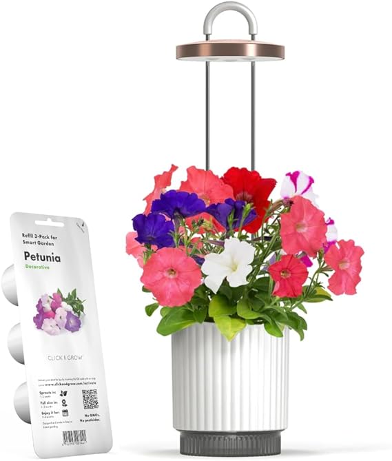 Mini Smart Planter Hydrovase with Petunia Pods by Click&Grow, Grow Light