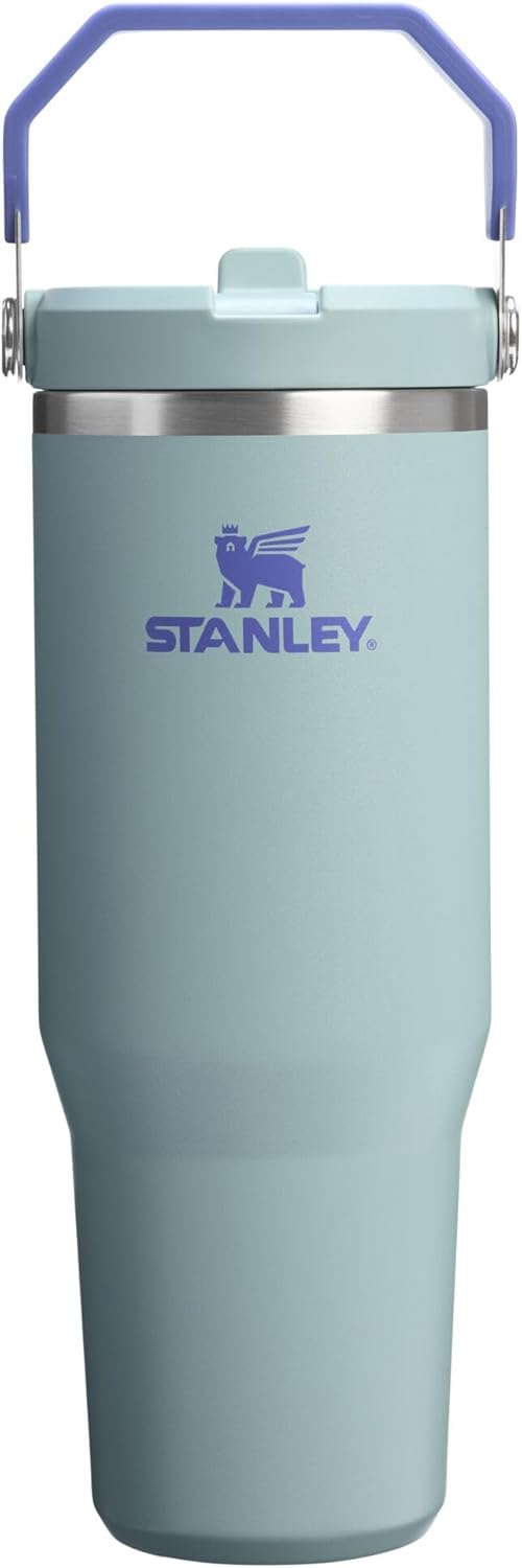 Stanley IceFlow 2.0 Flip Straw Tumbler with Handle 30 oz | Twist On Lid and Flip Up Straw | Leakproof Water Bottle | Insulated Stainless Steel | BPA-Free | Blue Cactus