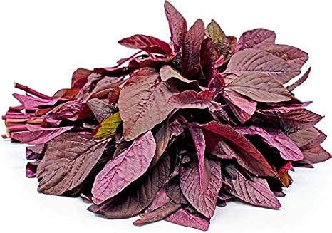 Organic Oriental Amaranth Red Aztec Vegetable Seeds Red Spinach Microgreens - 1250 Seeds
