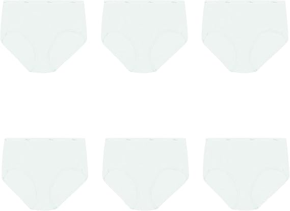 Hanes womens High-waisted Brief Panties, 6-pack, Moisture-wicking Cotton Brief Underwear (Colors May Vary)