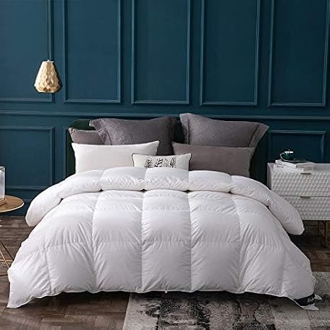 Globon Goose Down Comforter Queen Size,Luxury All Season Duvet,White