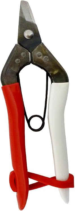 Okatsune NO.301 Fruit Harvesting Shears, Anti-Blade (Boxed)