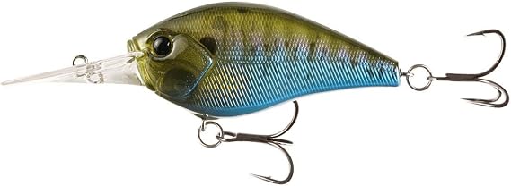 Cliff Banger 15ft Rusty Bream