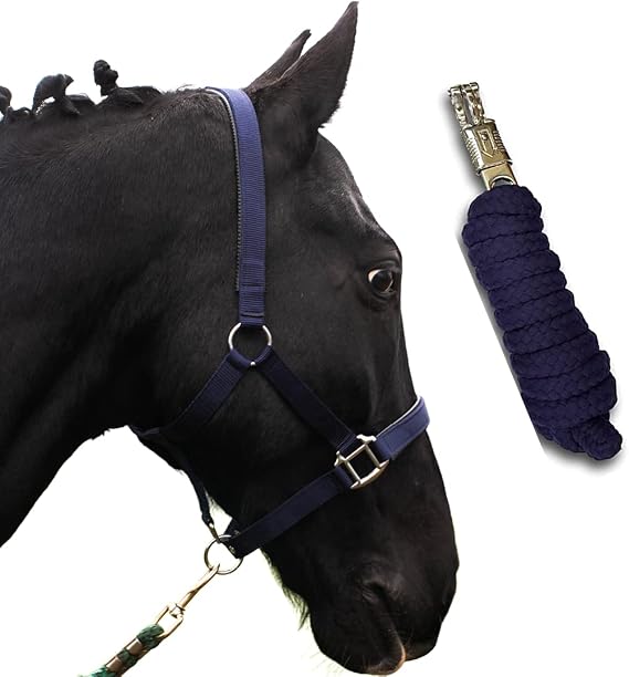 Halter for Horses with Knit Lead Rope Horse Halter Pony Thoroughbred Full X-Full with Knit (Blue Warmblood)