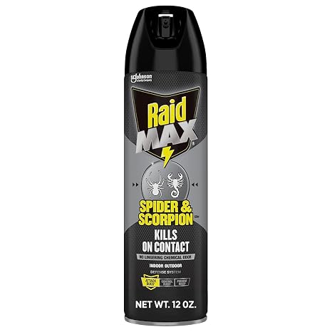 Raid MAX Spider & Scorpion Insect Killer Spray, 12 oz