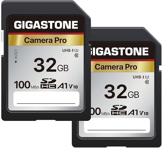 5-Years Data Recovery GIGASTONE 32GB SD Card 2-Pack, Camera Pro, UHS-I A1 V10 SDHC Memory Card Speed up to 100MB/s Compatible with SPYPOINT TACTACAM Trail Camera, with 2 Mini Cases