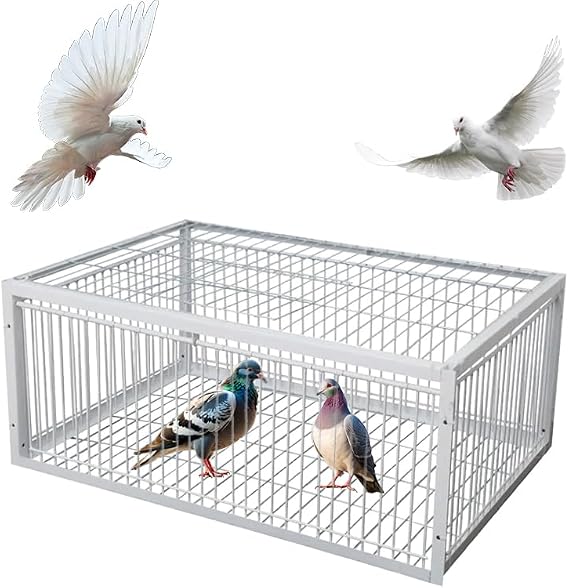 Pigeon Trap Cage Large Bird Escape-Proof Design Cage 10.24 H