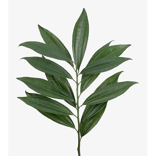 Consumer Bunch, Mixed Greens