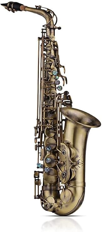 High Grade Antique Finish EB E-Flat Alto Saxophone Sax Shell Key Carve Pattern Woodwind Instrument with Padded Carry