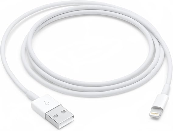 Apple Lightning to USB Cable (1 m)