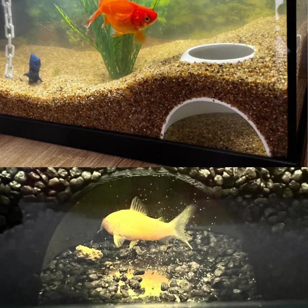 Fish Cave, Aquarium Fish Storage Area 1 Aquarium Decor