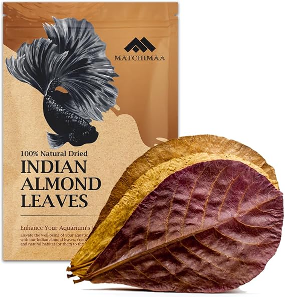 Premium Indian Almond Leave. Aquarium Decorations Size 6-9" Pack 50g(20-25 Leaves). Catappa Leaves Rich in Tannin. Superb to be Health Better, Vitality, Succesful Breeding! of Shrimp & Betta Fish Tank