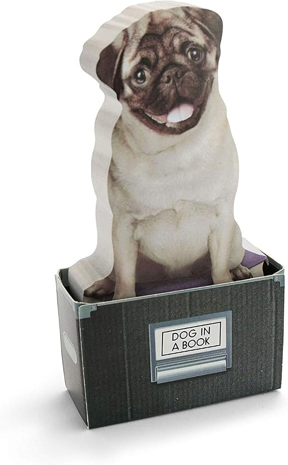 Mustard Sticky Post Notes Memo Pad - Cat In A Box
