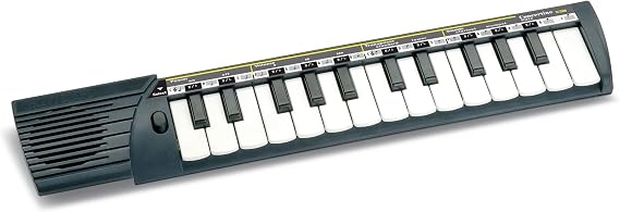 Bontempi 152500 Singing Guide Black/White