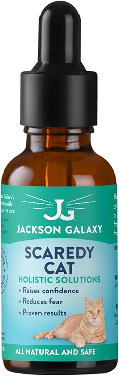 Jackson Galaxy Scaredy Cat Fear & Hiding Calming Drops for Cats & Dogs