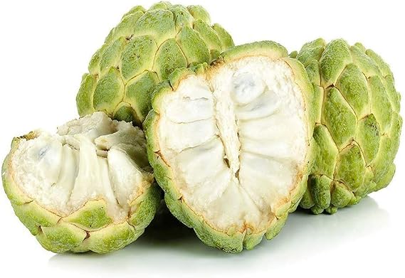 Sugar Apple SEEDS - 20+ Custard Apple (Sweetsop) - Annona Squamosa SEEDS - Apple Sugar SEEDS- Thai Sugar Apple SEEDS