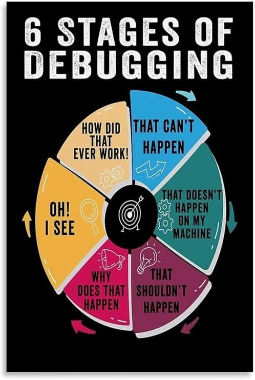 EKFBQBGW Coding Debugging Poster 6 Stages Wall-Art Computer Science Educational Print for Developers Classroom Home Office Wall Decor Unframed,08x12inch(20x30cm)