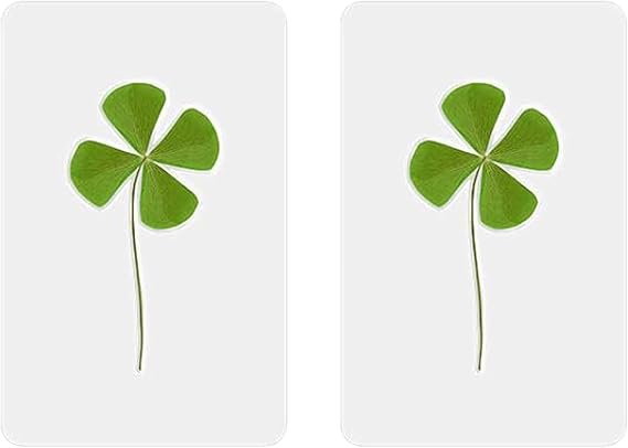4 Leaf Clover Natural Laminated Lucky Charm and Good Luck Original Gift of Happiness: Dried Four Leaf Clover (2)