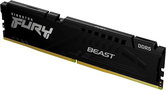 Kingston Fury Beast RAM Module