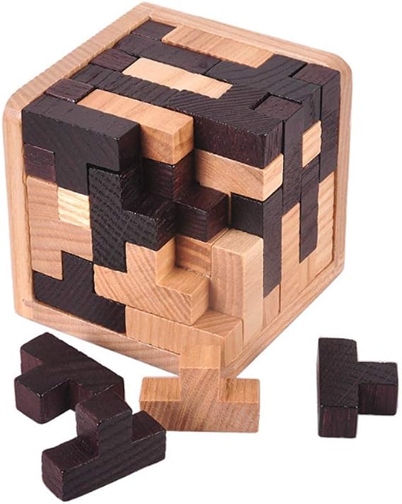 Oostifun Gobus 54 Pieces Wooden Brain Teaser Puzzle T Shape Building Blocks Geometric Jigsaw Puzzle Educational Black and White Puzzles Toy for Kids Adults