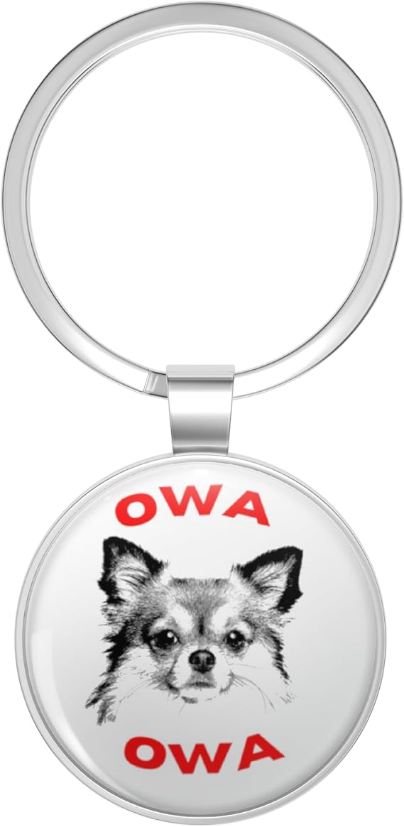 Owa owa Stainless Steel Keychain with Ring