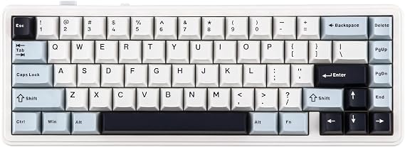 EPOMAKER x Aula F65 65% Wireless Mechanical Keyboard, Hot Swappable Gasket Custom Gaming Keyboard with Five-Layer Padding, RGB Backlit, Bluetooth/2.4GHz/USB-C (Light Blue, Flamingo Switch)