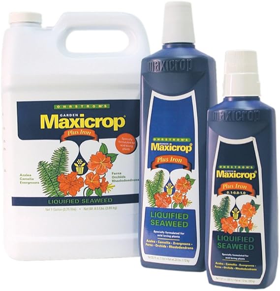 Plus Iron Liquid Seaweed Plant Nutrient Size: 1 Quart