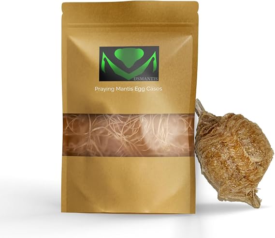 USMANTIS Praying Mantis Egg Cases Pack of 1 with Hatching Habitat Bag