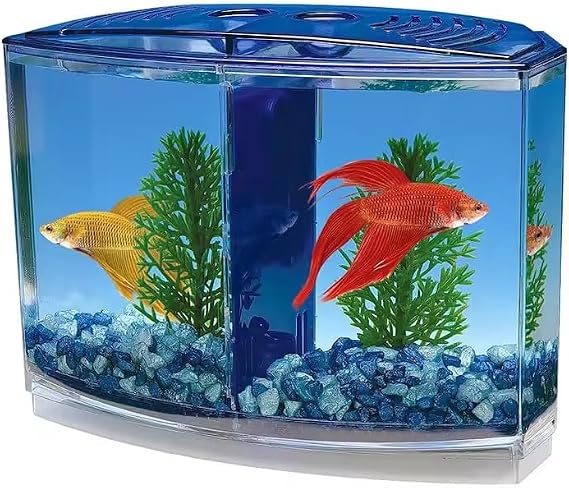 EatingBiting Large Double Compartment Fighting Fish Box Eco Rumble Fish Aquarium Mini Aquarium Plastic Isolation Box Breeding Box Transparent Betta Fish Tank