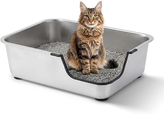 Stainless Steel Cat Litter Box, 19.5" L x 13.6" W x 6" H | Low Entry for Senior, Injured Kitty/Kitten or Slim Small-Size Adult Cats, Anti-Slip Non-Stick, No Odor, Easy to Clean