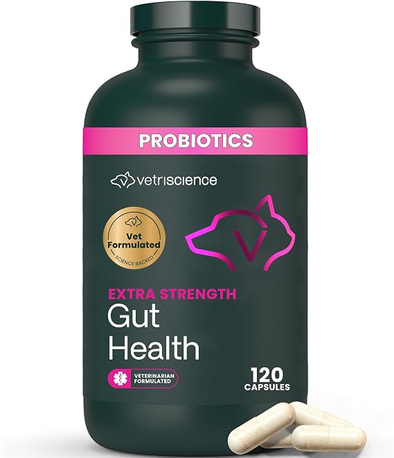 VetriScience Extra Strength Gut Health for Dogs and Cats, 120 Count | Probiotic & Prebiotic Digestive Supplements for Dogs & Cats, Gas & Diarrhea & Immune Support, Easy-Open Capsules