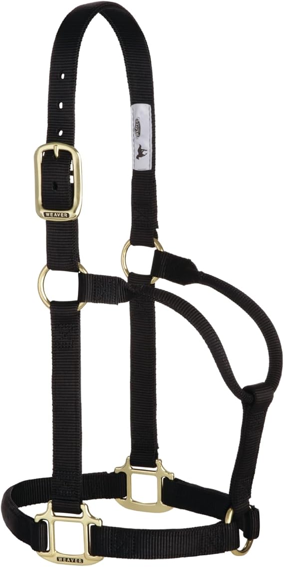 Weaver Leather Original Non-Adjustable Nylon Horse Halter, Large, Black
