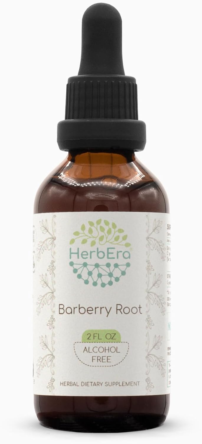 Barberry Root B60 Alcohol-Free Herbal Extract Tincture, Concentrated Liquid Drops Natural Barberry (Berberis Vulgaris) (2 fl oz)