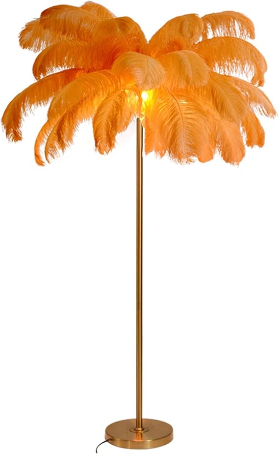 Feather Floor Lamp Floor Lamps for Living Room Natural Ostrich Feather Standing Lamp w/Foot Switch Dimmable 160cm Tall,Orange,L