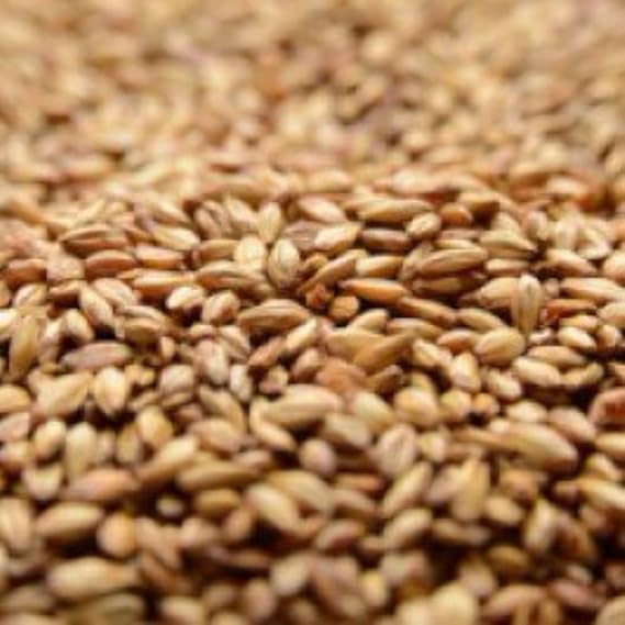 Briess Caramel 10L Malt 1 lb