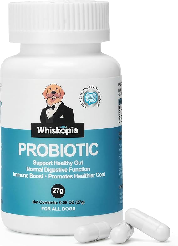 Dog Probiotic Supplement for Digestive Gut Support