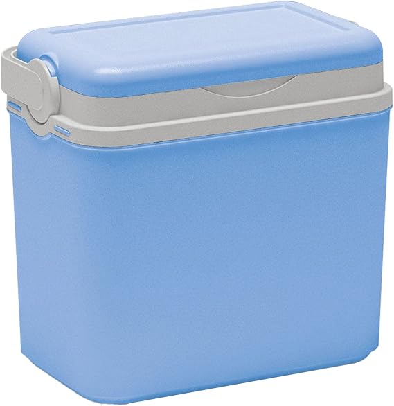 Cooler Passive Cooler Plastic Cool Bags with Polystyrene Thermal Insulation