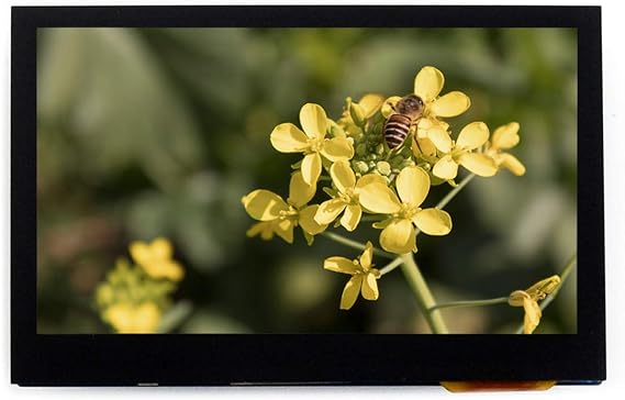 Waveshare 4.3inch Capacitive Touch LCD 800x480 Pixels Multicolor Graphic Monitor Display 24-bit RGB Interface I2C Screen 5-points Control