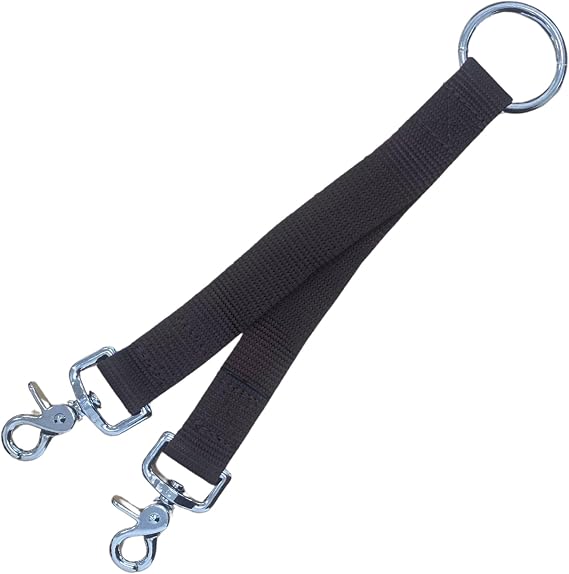 Intrepid International Brown Nylon Lunge Strap - Premium Quality Lunging Aid for Horse Training, Improve Control and Performance