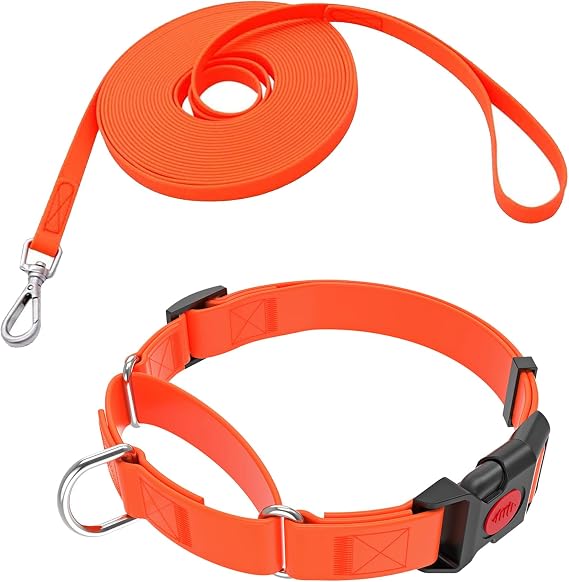 L Martingale Collar with 30FT Leash (Orange)