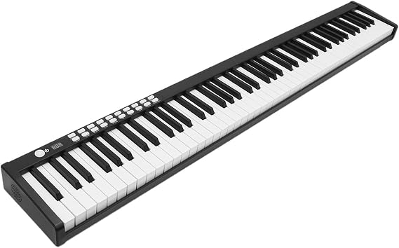 88 Key Full Size Keyboard Piano Weighted Electric Piano Bluetooth MIDI Digital Piano With Sustain Pedal, Carry Bag And Power Adapter For Beginner(Black)